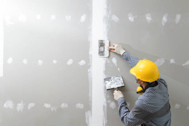 Best Drywall Patching  in Dolton, IL