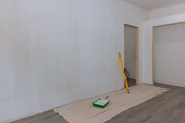 Best Water-Damaged Drywall Repair  in Dolton, IL